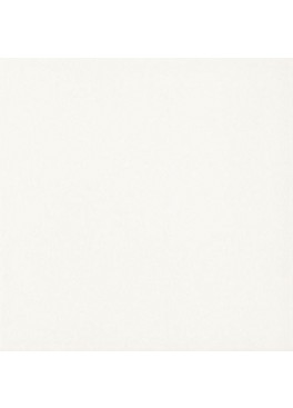 Bílá Dlažba 20x20 cm Gammo Bianco Bialy R10 Mat 19,8x19,8