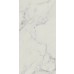 Obklad Carrastone White Dekor Mat 29,8x59,8