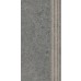 Dlažba Authority Graphite Mat Schodovka 29,8x59,8