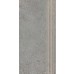 Dlažba Authority Grey Mat Schodovka 29,8x59,8