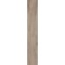 Dlažba Arbaro Oro 120,2x19,3