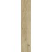 Dlažba Marilla Oro 60x11