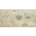 Dlažba Dekor Tansi Panel Mat 119,8x299 (5ks 59,8x119,8)