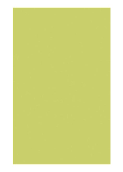 Obklad Vivian Verde 25x40