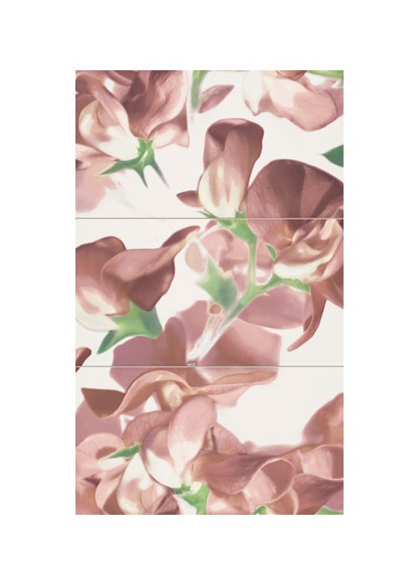 Dekorace Colour Bloom Carmine 59,3x98,5 (3 ks)