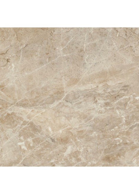 Dlažba Middletown Brown 40x40