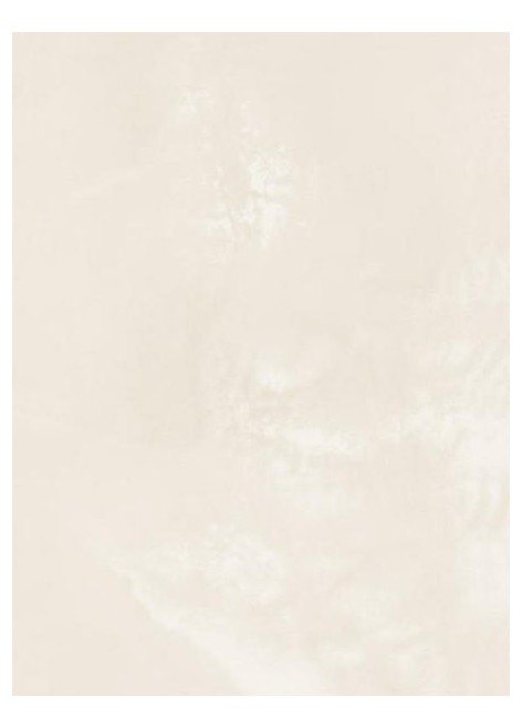 Obklad Oktawa Beige 25x33,3