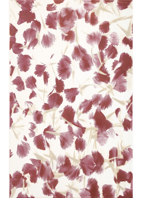 Dekor Diantus Burgundy Flower 25x40