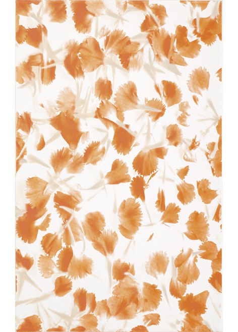 Dekor Diantus Orange Flower 25x40