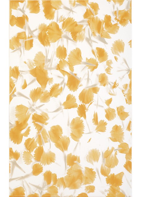 Dekor Diantus Yellow Flower 25x40