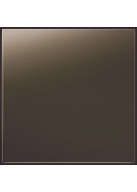 Obklad hnědý lesklý PASTEL LESK 20x20 (Brazowy) Hnědý