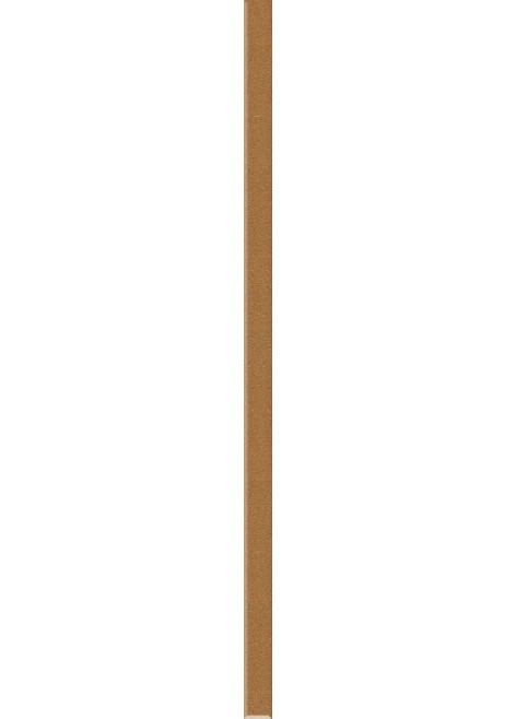 Listela Sklo Universální Oro 60x2,3