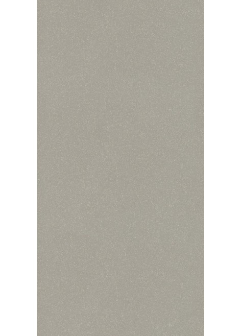 Dlažba Moondust Light Grey Polished 59,4x29,55