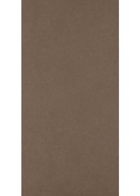 Dlažba Intero Brown Gres Rekt. Mat. 59,8x119,8