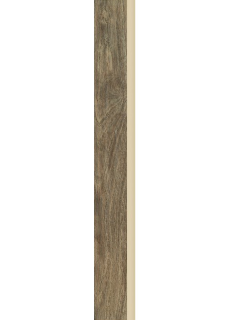 Dlažba Wood Basic Brown Sokl 6,5x60