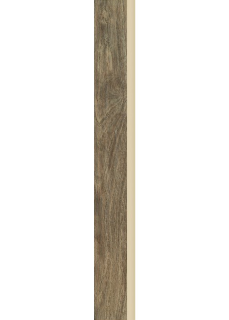 Dlažba Wood Basic Brown Sokl 6,5x60