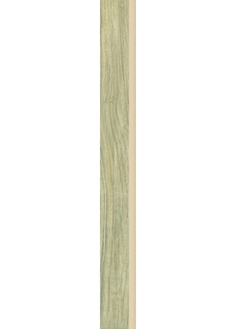 Dlažba Wood Rustic Beige Sokl 6,5x60