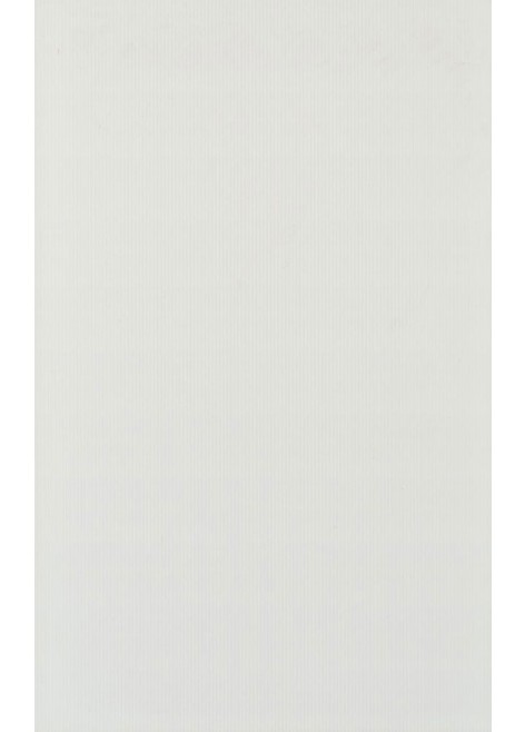 Obklad Project White 25x40