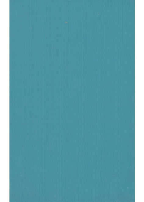 Obklad Project Turquise 25x40