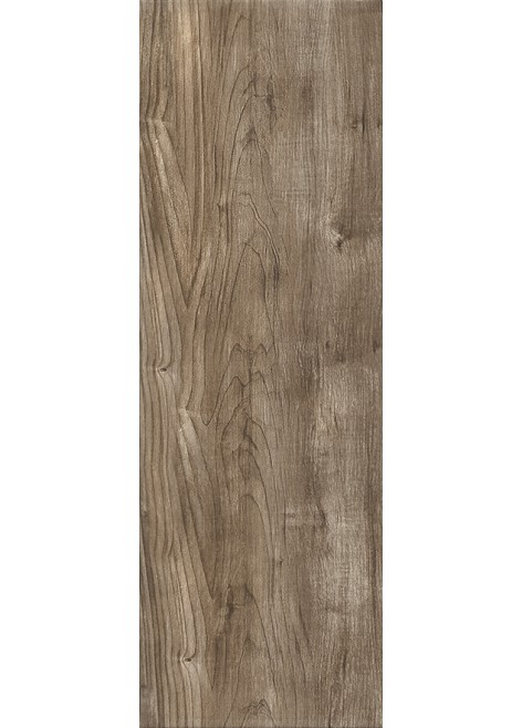 Obklad Amazonian Forest Brazil 75x25