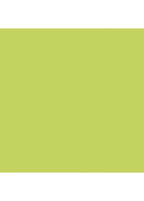 Obklad světle zelený lesklý GAMMA LESK 19,8x19,8 (Seledynowa) Světle Zelená
