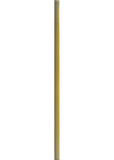 Listela Magnifique Glass Gold Rekt. 89x3