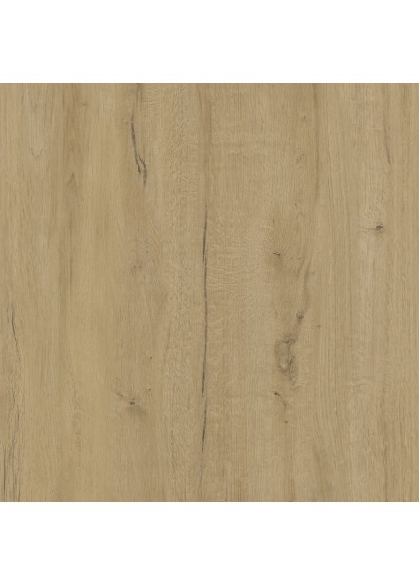 Dlažba Suomi 2.0 cm Cream Rekt. 60x60