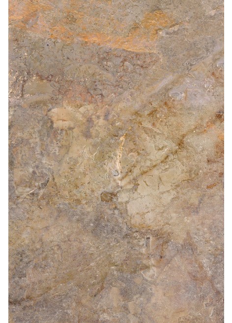 Dlažba na terasu Burlington Rust 2.0 cm Rek. R11 89,5x59,5