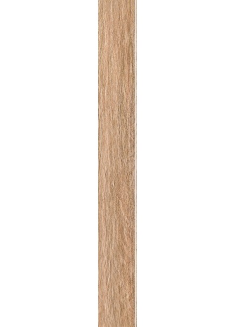 Dlažba Wood Willow Beige Struktura Sokl 59,8x7