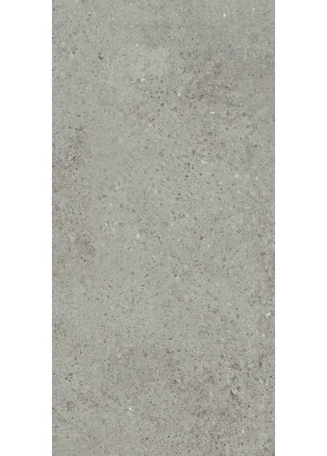 Dlažba Gigant Silver Grey Rekt. 59,3x29