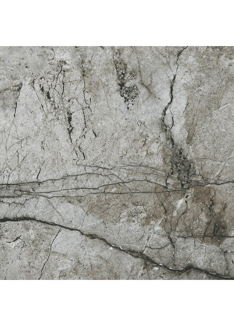 Dlažba Essential Grey Polished 59,8x59,8