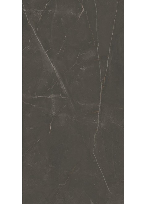 Dlažba Linearstone Brown Mat 119,8x59,8