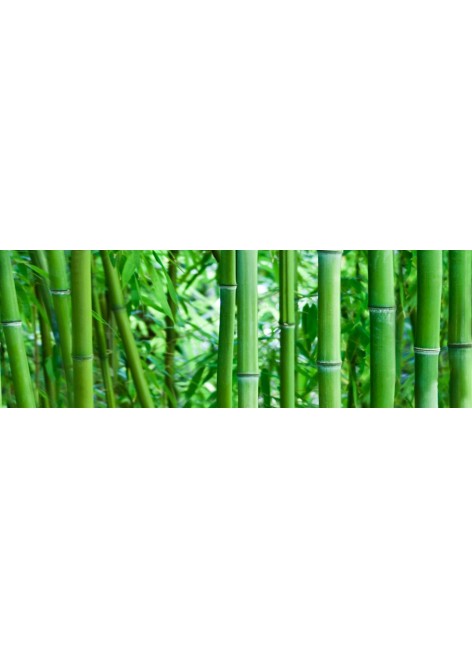 Dekor Savona Bamboo Sklo 2 75x25
