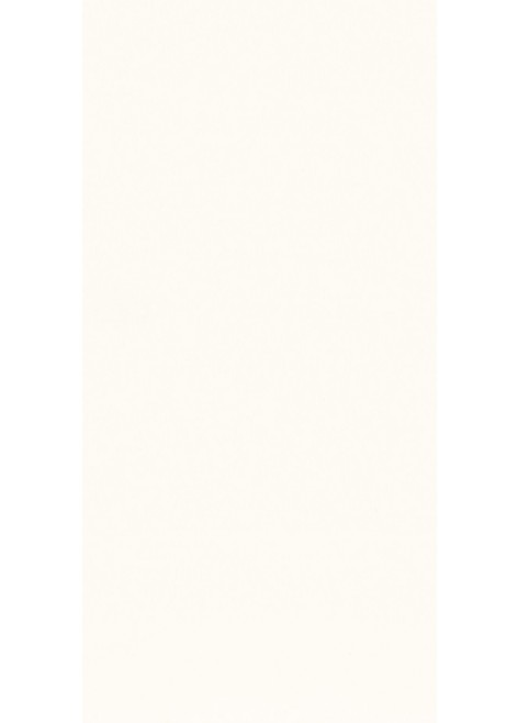 Obklad bílý lesklý GAMMA LESK 19,8x9,8 (Bianco) Bílá