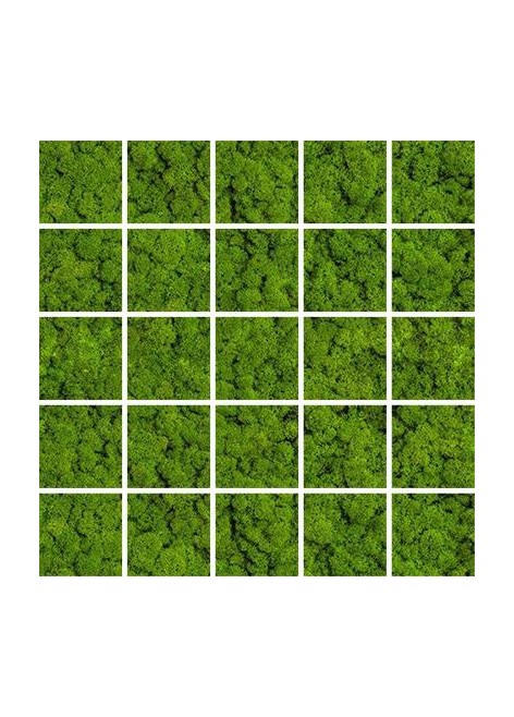 Dekor White Mat Green Moss Mozaika 24,8x24,8