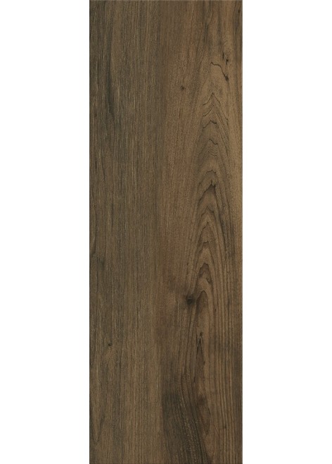 Obklad Alaya Wood Glossy 60x20