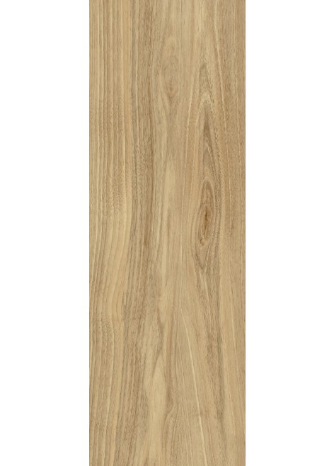 Obklad Quadra Dreamwood Glossy Rekt. 75x25