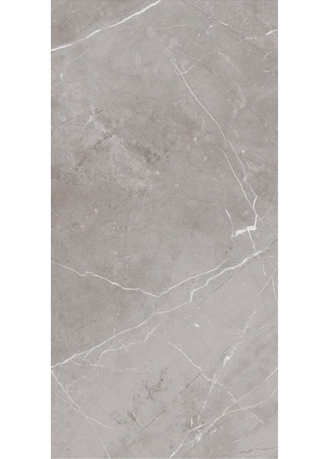 Obklad Gusto Grey Glossy 60x29,7