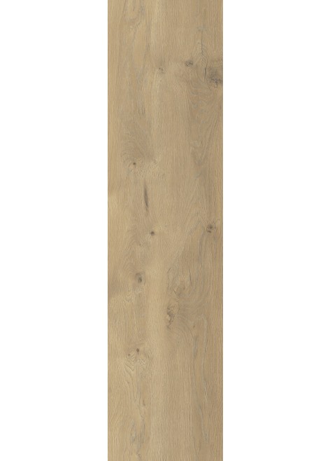 Dlažba Taiga Beige 120x30