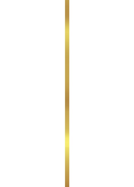 Listela Arabescato Super Gold Glossy Rekt. 90x2