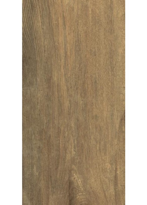 Dlažba Derby Elm 60x30