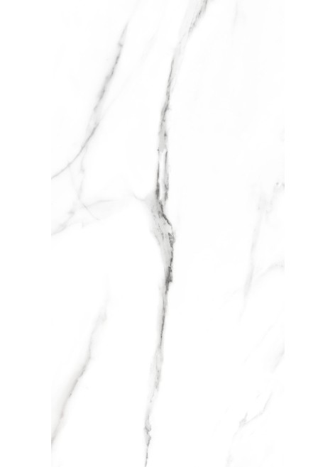 Dlažba Roswell White Mat 59,7x29,7