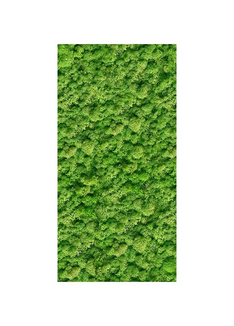 Dekor Moss Glass Rekt. 30x60