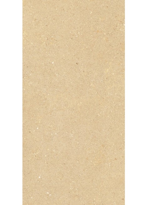 Dlažba Sawdust Natural Rek. 60x120