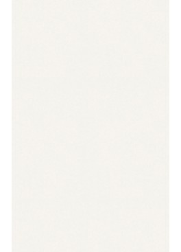 Obklad bílý matný 25 x 40 cm Obklad Bianca Mat 25 x 40