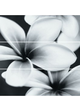 Dekorace Pret a Porter Flower Composition 75x75
