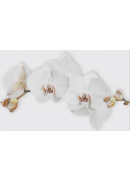 Dekor Marisol White Flower 25x40