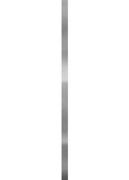 Listela Univerzální Metal Lesk Profil 59,8x2