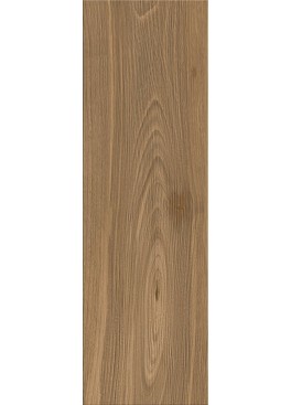 Dlažba Birch Wood Brown 59,8x18,5