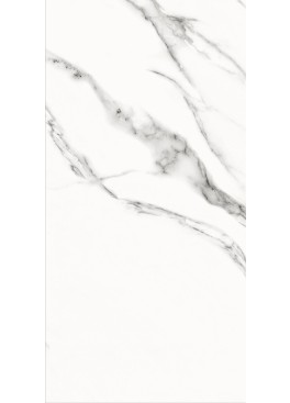 Obklad Special Marble White Glossy 59,8x29,8